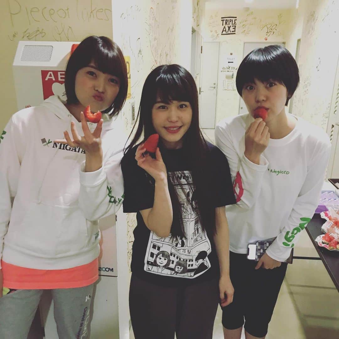 Negiccoのインスタグラム：「新潟のいちご美味しいよ。﻿ 越後姫ね。﻿ 全国のいちご食べ歩きもいいな。﻿ ﻿ #Negicco﻿」