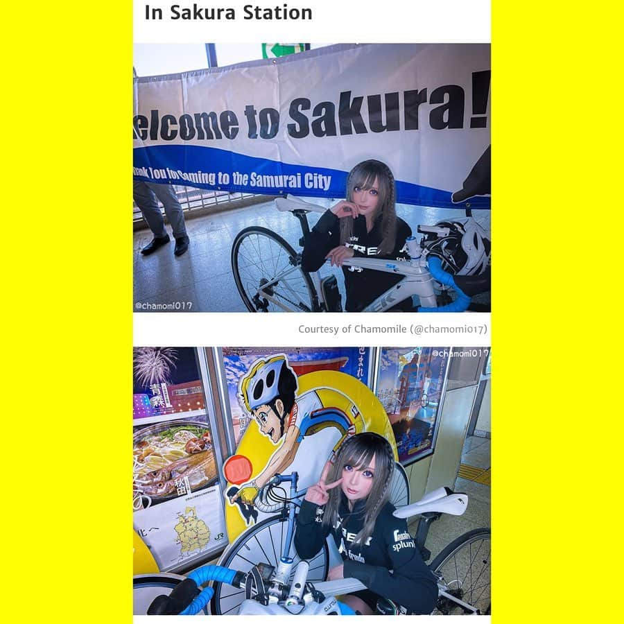 華密美琉さんのインスタグラム写真 - (華密美琉Instagram)「Yowamushi Pedal stamp rally is a biker’s anime pilgrimage, popular cosplayer Chamomile reports﻿ ﻿ 英語でまとめてくださった弱虫ペダルスタンプラリーの情報です！﻿ 内容が多いのでInstagramでは前半後半で分けて投稿します！ ﻿ ﻿ 【前半】﻿ ﻿ #cycling﻿ #cyclingpics﻿ #yowamushipedal ﻿ #yowapeda ﻿ #ywpd ﻿ #cyclingphotos﻿ #cyclinglife﻿ #cyclingtips﻿ #bikes﻿ #roadcycling﻿ #cyclist﻿ ﻿ page﻿ https://grapee.jp/en/135478﻿ ﻿ サイクリングのまち﻿ 佐倉へようこそ 🚲🎶💛 ﻿ Welcome to Sakura !﻿ #JR東日本 #サイクルトレイン﻿  #BBBASE﻿  #自転車旅 ﻿ #弱虫ペダル﻿ ﻿ https://twitter.com/chamomi017/status/1236480508885794817?s=21﻿ ﻿ 佐倉市 ライドしてきたよー！﻿ ﻿ TVアニメ「#弱虫ペダル」スタンプラリー﻿ ﻿ 自転車 を解体せず電車に乗せる方法と ﻿ 弱ペダ のコラボ解説 ﻿ 【前半】﻿ ﻿ https://lineblog.me/chamiblog/archives/2081790.html ﻿ ★★★★★★ ﻿ https://twitter.com/chamomi017/status/1237579066401640450?s=21 ﻿ ﻿ ☆☆☆☆☆☆ ﻿ ﻿ 自転車 をB.B.BASEに乗せてイベント参加!!﻿ 弱ペダ の佐倉市ライド コラボ解説 ﻿ 【後半】﻿ ﻿ https://lineblog.me/chamiblog/archives/2082228.html ﻿ ★★★★★★ ﻿ https://twitter.com/chamomi017/status/1238400925909180418?s=21 ﻿ ﻿ ☆☆☆☆☆☆ ﻿ ﻿ ポタリング協力店などコラボ解説 ﻿ 【特典編】﻿ ﻿ https://lineblog.me/chamiblog/archives/2087566.html ﻿ ★★★★★★ ﻿ https://twitter.com/chamomi017/status/1239490488257794048?s=21 ﻿ ﻿ ☆☆☆☆☆☆ ﻿ ﻿ YouTubeにもアップしました！﻿ ⬇︎⬇︎⬇︎⬇︎⬇︎⬇︎﻿ https://youtu.be/6zbGI9dKI7w﻿ ﻿ コスプレイヤー・カモミール﻿ フォローや拡散・いいね待ってます！！﻿ 応援よろしくお願いします！！ ﻿ 千葉県佐倉市で開催している﻿ TVアニメ「弱虫ペダル」﻿ スタンプラリー・佐倉ライド　レポートです﻿ B.B.BASEに乗って参加しました‼﻿ ﻿ #カモミール﻿ #コスプレイヤー﻿ #自転車好き﻿ #自転車﻿ #ロードバイク﻿ #弱虫ペダル﻿ #佐倉﻿ #B.B.BASE﻿ #サイクルトレイン ﻿ ﻿ 【Twitter】 https://mobile.twitter.com/chamomi017 ﻿ ﻿ 【Instagram】 https://www.instagram.com/chamomile_chami/ ﻿ ﻿ 【LINE BLOG】 https://lineblog.me/chamiblog/ ﻿ ﻿ 【tiktok】 https://vt.tiktok.com/655S6C/ ﻿ ﻿ 【DREPAL】 https://drepal.com/?profile=1149」3月30日 22時49分 - chamomile_chami