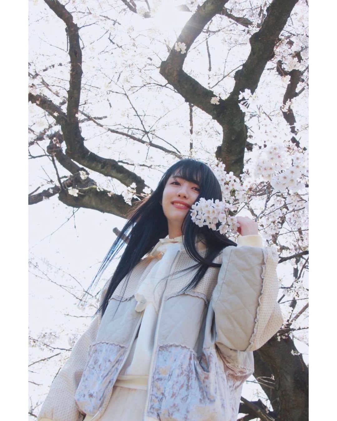 長尾しおりさんのインスタグラム写真 - (長尾しおりInstagram)「🌸4️⃣ ・ ・ #桜 #代々木公園 #sakura #ポートレート #merryjenny #作品撮り」3月30日 23時02分 - shiori_nagao