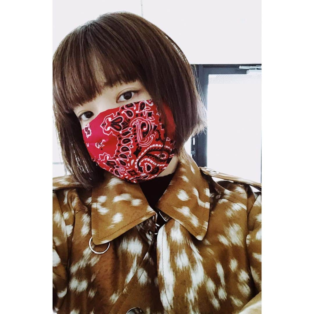 eriさんのインスタグラム写真 - (eriInstagram)「会社のみんながマスクをなかなか買えない、﻿ というので前々から考えていた﻿ 古着のバンダナをつかったマスクを﻿ 作ってみた。﻿ うーん、とても可愛い！！﻿ ﻿ うち、いっぱいバンダナあるから﻿ 作ろう！﻿ クマさんとか可愛い柄もいっぱいあるから﻿ キッズ用のマスクも作ろう！﻿ ﻿ ﻿ 🥰 #DEPTVTGMASKS」3月30日 23時21分 - e_r_i_e_r_i