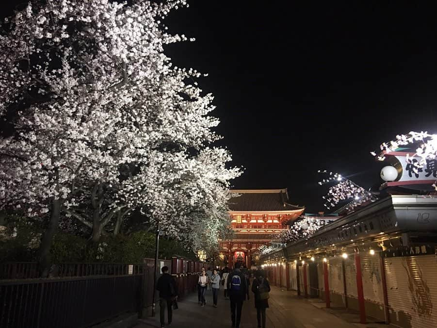 小川暖奈さんのインスタグラム写真 - (小川暖奈Instagram)「お家でカメラロールの過去の桜の写真見返してみて！凄く癒されるよ これは、時間あればすぐ桜を見に行くわたしのここ数年の桜の写真📸 . 今年は我慢して、来年また咲く時が楽しみですね . . 🌸🌸🌸」3月30日 23時35分 - ogawah