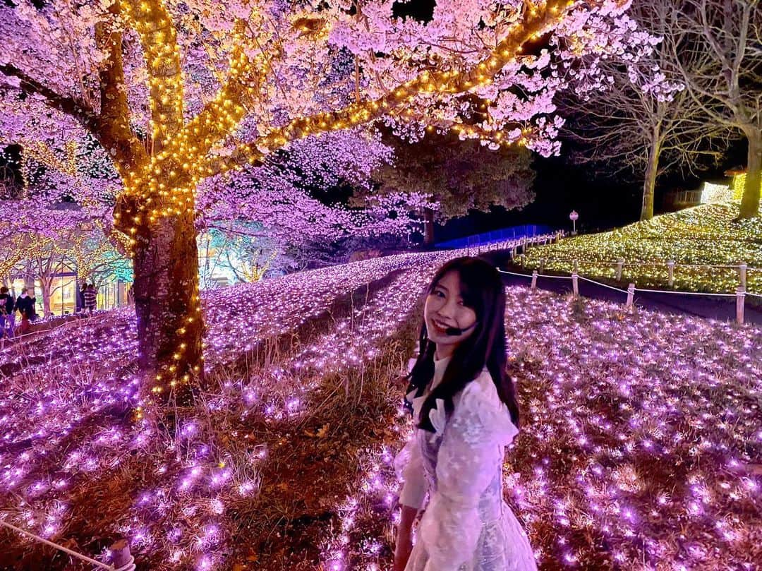 横山由依さんのインスタグラム写真 - (横山由依Instagram)「桜とイルミネーション🌸 本当に綺麗でした。 また行きたい場所です！  #さがみ湖プレジャーフォレスト #CDTVライブライブ #AKB48」3月31日 0時00分 - yokoyamayui_1208