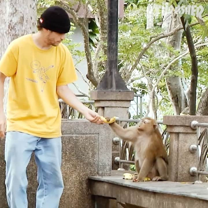 スラッシャーのインスタグラム：「🐒 @maxgeronzi & @deeddz in @gronze’s THAILAND video 🇹🇭 Now playing on all Thrasher channels 🍌」