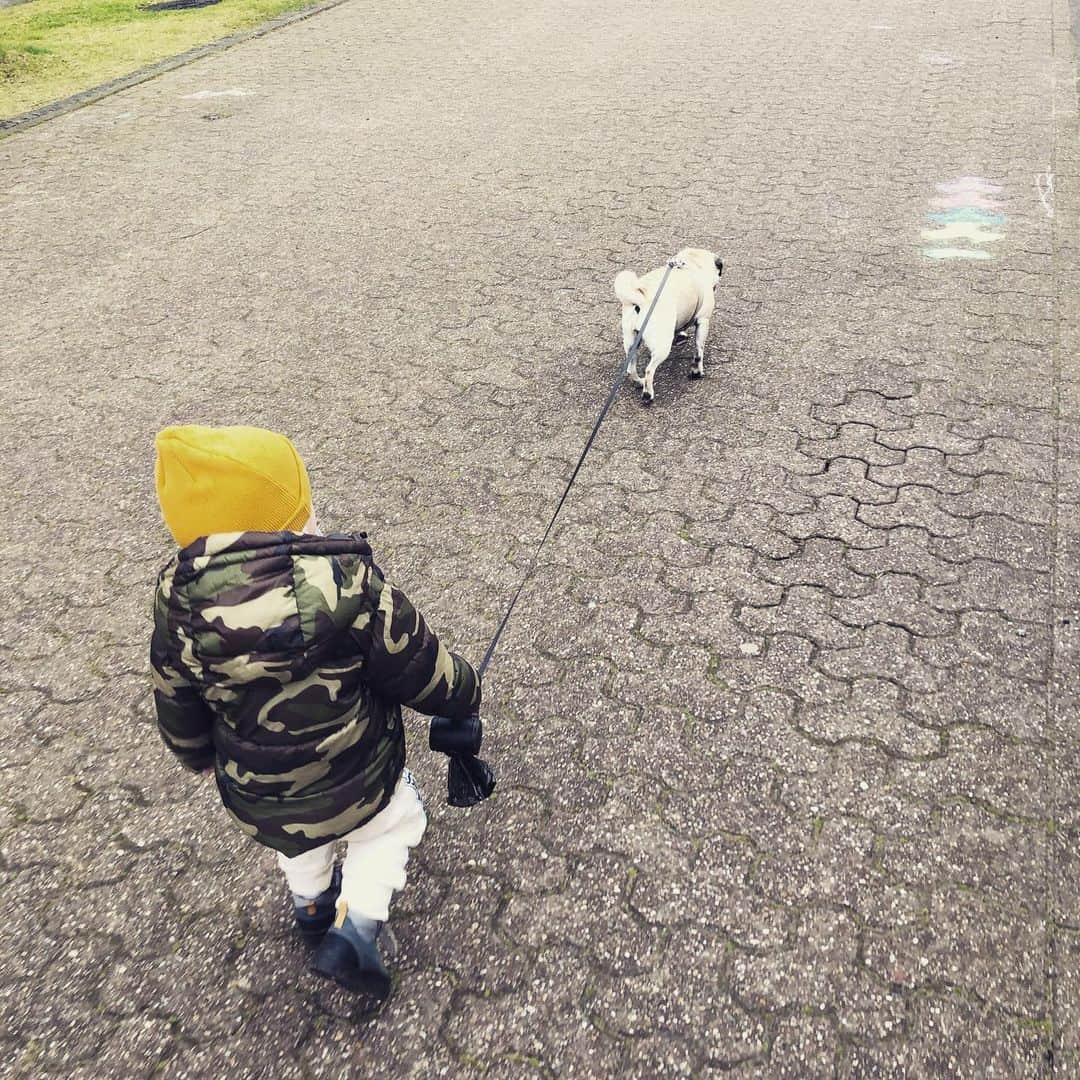 トビアス・ジッペルさんのインスタグラム写真 - (トビアス・ジッペルInstagram)「best buddy’s 🐶👶🏻 #buddys #bestfriends #elsa @black_and_beige @sandra.martha.s」3月31日 1時56分 - tobsen_21