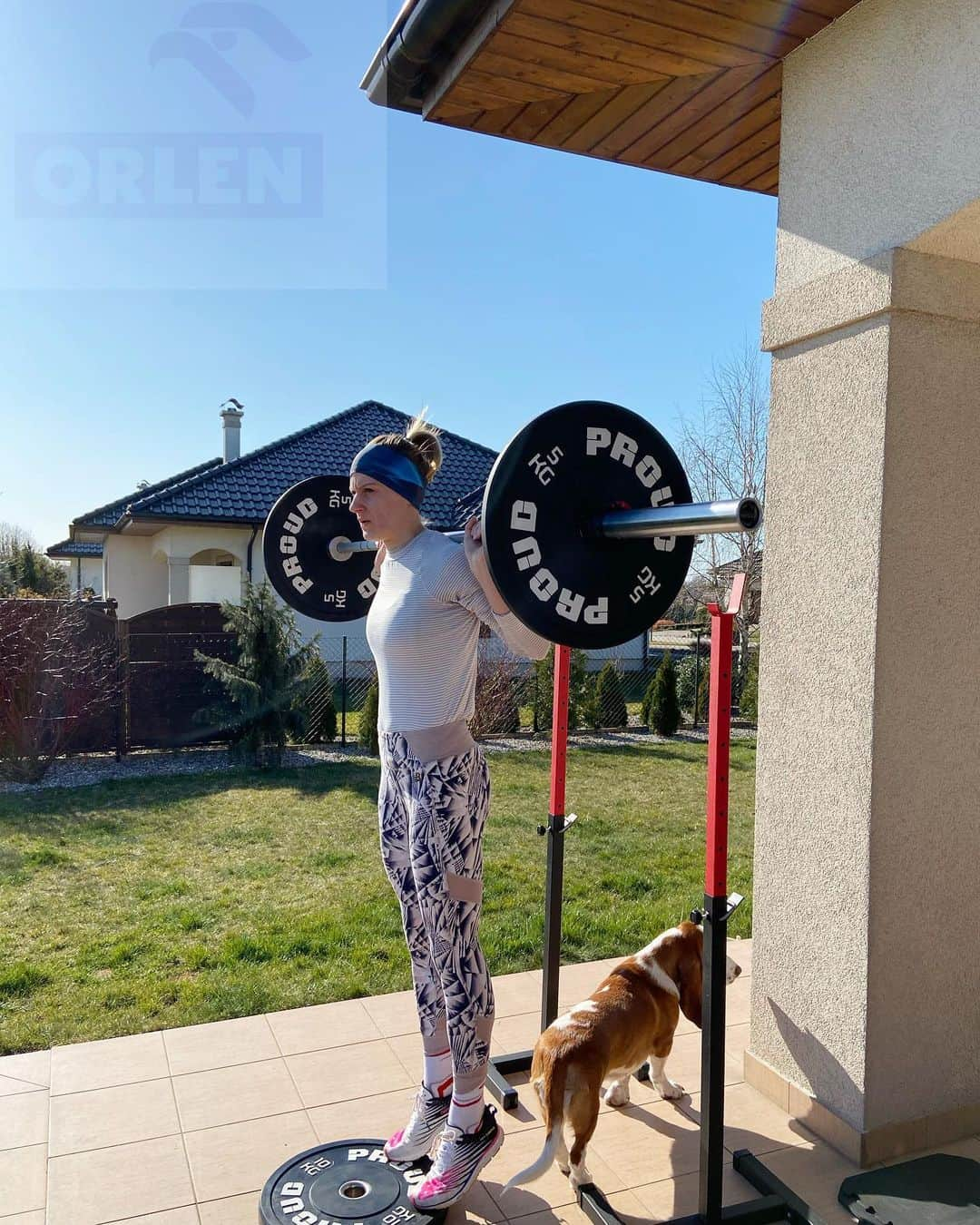 Patrycja WYCISZKIEWICZさんのインスタグラム写真 - (Patrycja WYCISZKIEWICZInstagram)「Home office na tarasie! Plus pomocnik w roli @figa_basset_hound i można trenować! 💪🏼 #domyjob #workout #garden #sport #athletic #run #runner #focusongoal #sparingpartner #basset #newbalance #nbteam #morningworkout #orlen #pknorlen」3月31日 1時59分 - patrycjawyciszkiewicz