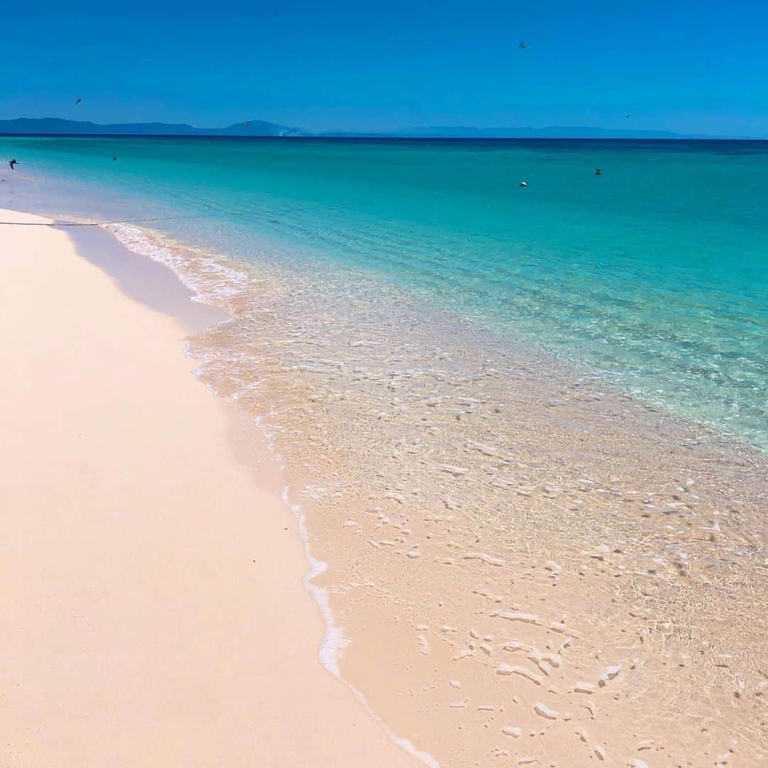 佐野来実さんのインスタグラム写真 - (佐野来実Instagram)「オーストラリアのケアンズ🇦🇺 今まで見たどんな海よりも透明度が高くて砂も綺麗でした🥺 コアラはとっても良い匂いがしました🐨」3月31日 2時18分 - misstodai201802