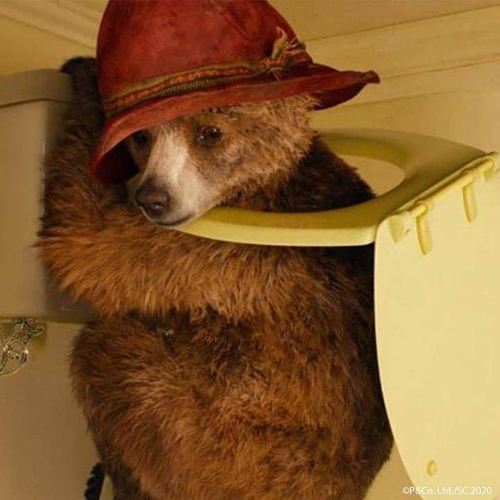 Paddington Bearさんのインスタグラム写真 - (Paddington BearInstagram)「#untiltomorrow」3月31日 3時25分 - paddingtonbear