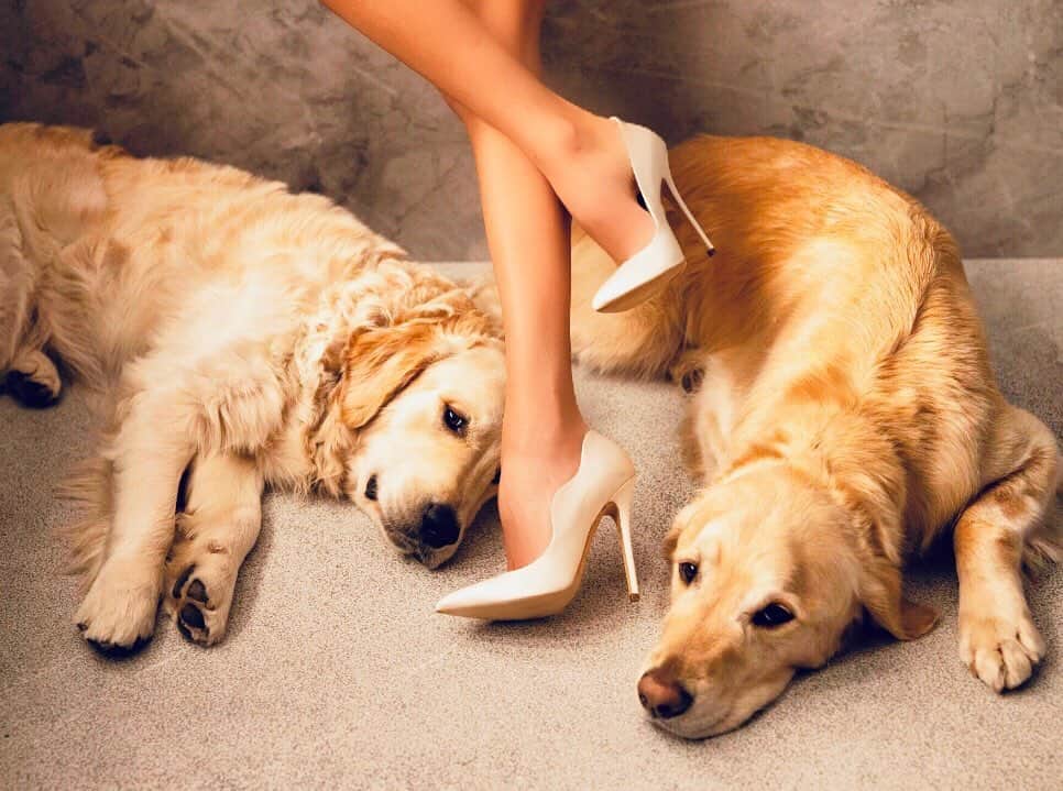 ブライアンアトウッドのインスタグラム