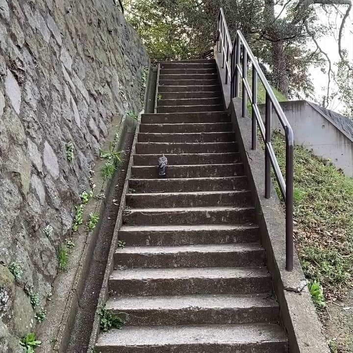 奥井亜紀のインスタグラム