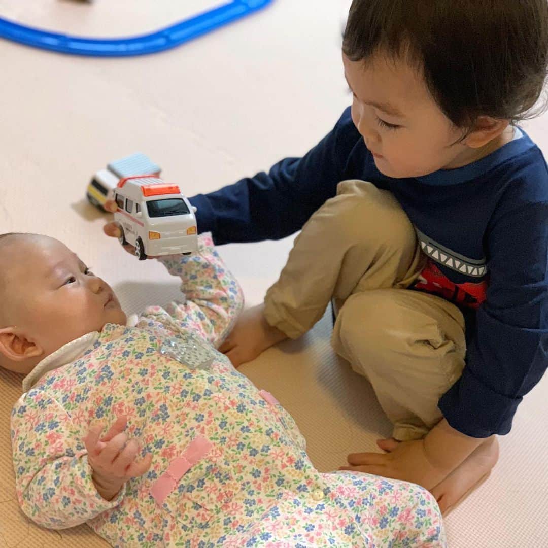 花田浩菜のインスタグラム：「男の子って本当にお調子者だけど優しくて可愛い。 . . もう3月も終わりなんて！ ブログにも書きましたが、#2歳6ヶ月 になった息子の#イヤイヤ期 がだいぶ落ち着いてきた気がしている今日この頃。 . 2歳児だからもちろん『イヤー！』はするけど、一時期の2歳前までのイヤイヤ期と比べるとだいぶ楽になってきたし、少しずつ終盤に近づいてきたのかな、と言う感じがします。娘にも大好きなおもちゃを半ば無理やり持たせたりしてる時とか w wほんと微笑ましい😊 . . 我が息子は我が強くて、自分の要求を止められたり『ダメ』されると家でも外でも泣いて喚いて転がりまくってお話で諭すことなんて喋れないからできなかった1歳半頃の暗黒のイヤイヤ期から比べると、 最近は『◯◯する？』→『◯◯、しない！』と逆の返事が返ってきても 『◯◯、自分でできるんだよね！かっこいいとこ見たいな❤️』とか煽てると嬉しそうに披露してくれたり、 お着替えもしないーと言ってても大好きな乗り物のついたお洋服を見せたり自分で好きなの選ばせたりすると自分で嬉しそうに着替え始めてくれたり。笑 言葉で諭したり駆け引きしたり w話すことでわかってきてくれることや気が変わることも増えたのでとっても楽になってきました。 ま、それでもダメな時ももちろんあるけど。 天邪鬼だけど👹😂 . でも『ママ、可愛い〜❤️』と1日に何回も言ってくれてなんだこの可愛い生き物は😭と思えば 『パンチ！』とパンチされる飴と鞭具合な毎日ですが😂男の子って単純で分かりやすくて素直で甘えん坊で本当可愛いな😭😭😂😭と思う毎日です。 . . もう3月も終わりなので新年度になりますね。去年の春はイヤイヤ&妊娠発覚で悪阻が酷くてちょうど毎日が辛かった😂のですが、一年でこんなに成長したんだな、と今年の桜が咲き始めた3月の頭に思い出しました。 来年の桜の時期にはまたもっと成長しているんだろうな、と思いながら今の可愛い時期をこういう一緒にいることのできる時間に大切に向き合ってあげたいな。😊 ブログにはより長々と書いて見ましたので笑、お時間あって読みたい方はプロフィールから飛べるブログで是非どうぞ📖 この大好きな息子&娘の未来を守るためにも早くコロナが収束してくれますように…！ 明日から4月🌸 . . #2歳差兄妹 #2歳差育児 #2歳 #0歳　#おうち時間 #stayhome #staysafe #生後3ヶ月 #赤ちゃんのいる生活 #成長記録 #育児日記 #ママライフ #12月生まれ #令和ベイビー #男の子ママ #女の子ママ #新米ママと繋がりたい #ig_oyabakabu #happy #happydays」
