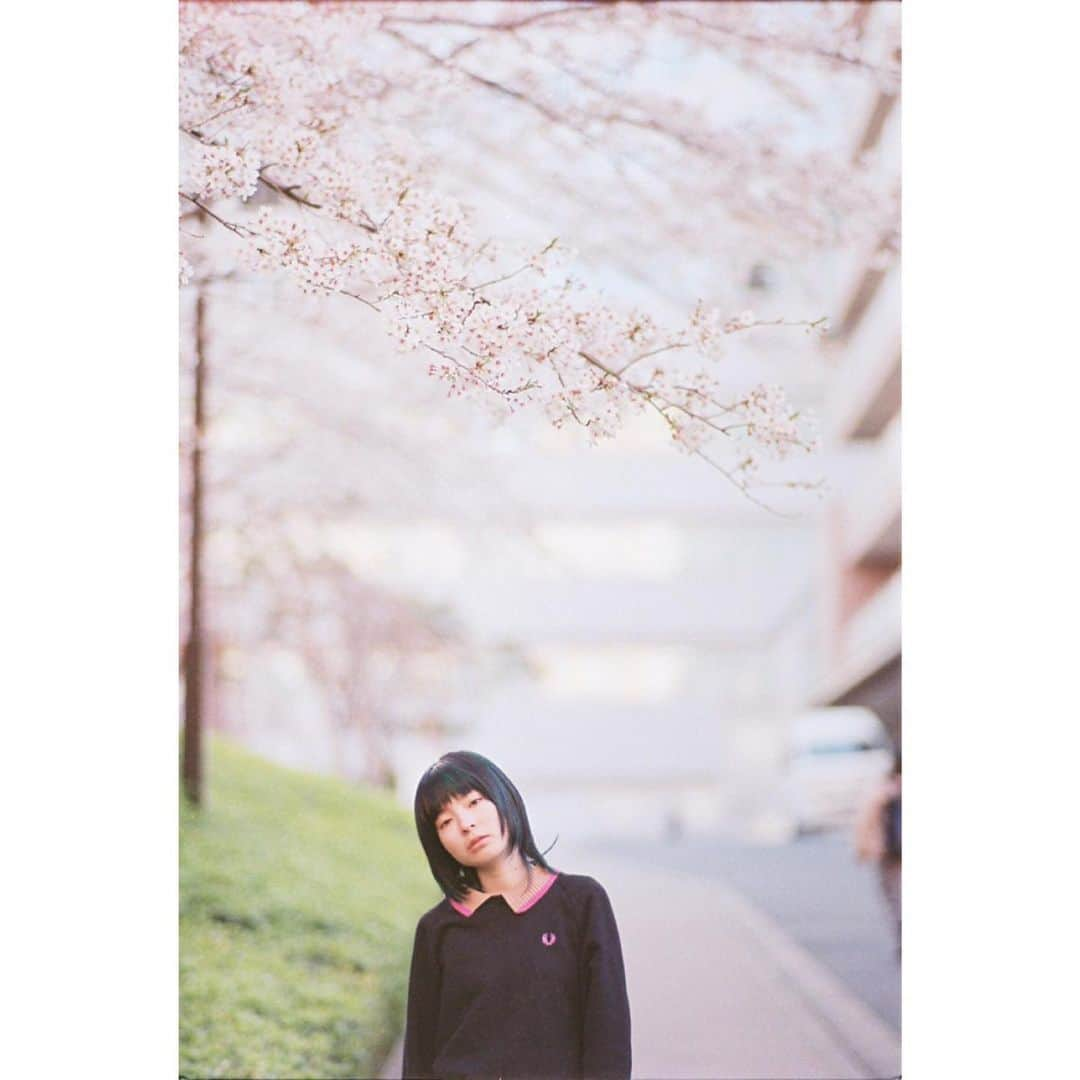 Takaoのインスタグラム：「. life is beautiful . #indies_gram  #indy_photolife  #contaxt2  #35mm  #hueart_life  #igersjp  #filmphotography .」