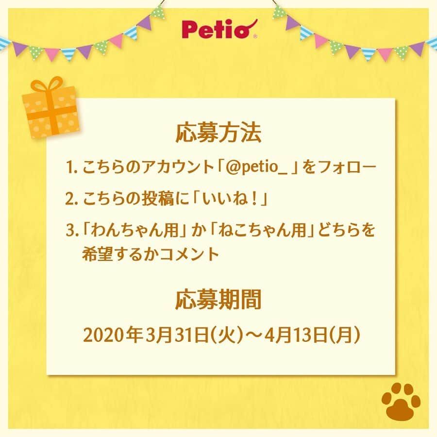 Petioさんのインスタグラム写真 - (PetioInstagram)「————— 豪華プレゼント企画🎁🐱🐶 ————— •ㅤㅤㅤㅤㅤㅤㅤㅤㅤㅤㅤㅤㅤ #petio ではフォロワーの皆さまに 日頃の感謝を込めて #プレゼントキャンペーン を実施するワン🎊✨ •ㅤㅤㅤㅤㅤㅤㅤㅤㅤㅤ 人気商品のおやつとおもちゃを「わんちゃん用」と「ねこちゃん用」に詰め合わせた豪華賞品 を各10名様にプレゼント！😻🐶✨ スペシャル企画なのでお見逃しなくっ💛 •ㅤㅤㅤㅤㅤㅤㅤㅤㅤㅤㅤㅤㅤ ーーーーーーーーーーーーーーーーーー 【プレゼント内容】 人気商品のおやつとおもちゃセット🎁 コメント欄で『わんちゃん用』か『ねこちゃん用』のどちらか選んでコメントしてね🐶 (※賞品はすべて発送となります。) • 【応募方法】 1⃣このアカウント[ @petio_ ]をフォロー 2⃣この投稿に「いいね！」 3️⃣「わんちゃん用」・「ねこちゃん用」どちらか欲しい賞品をコメントしてね🐶🐱 •ㅤㅤㅤㅤㅤㅤㅤㅤㅤㅤㅤㅤㅤ すでにフォローしていただいている方は、 「いいね❤️」と「コメント」をするだけで応募完了です！✨ •ㅤㅤㅤㅤㅤㅤㅤㅤㅤㅤㅤㅤㅤ 【応募期間】 2020年3月31日(火)～2020年4月13日(月)23:59まで • 【当選結果】 当選された方には本アカウントよりDMをお送りします📩 ※連絡日より1週間お返事がない場合は当選を無効とさせて頂くのでお気をつけください😢 •ㅤㅤㅤㅤㅤㅤㅤㅤㅤㅤㅤㅤㅤ 【プレゼントのお届け方法】 賞品はすべて発送となります🎁 • ーーーーーーーーーーーーーーーーーー •ㅤㅤㅤㅤㅤㅤㅤㅤㅤㅤㅤㅤㅤ 大変な時期だけど、みんなで楽しく頑張って乗り切りましょう🐾 たくさんのご応募お待ちしております🐶🐱 • • #ペティオ #ふわもこ部 #フワモコ部 #わんこ #にゃんこ #飼い主バカ #今日のわんこ #今日のにゃんこ #いぬ #ねこ #犬バカ #ねこのいる暮らし #愛犬 #愛猫 #猫バカ #いぬのいる暮らし #ねこすたぐらむ #いぬすたぐらむ #今だからこそモフモフで癒しを #わんこ用 #にゃんこ用 #みんねこ #プレゼント #プレゼント企画  #プレゼント企画実施中  #プレゼント応募  #プレゼント企画応募  #プレゼント企画開催中」3月31日 10時18分 - petio_