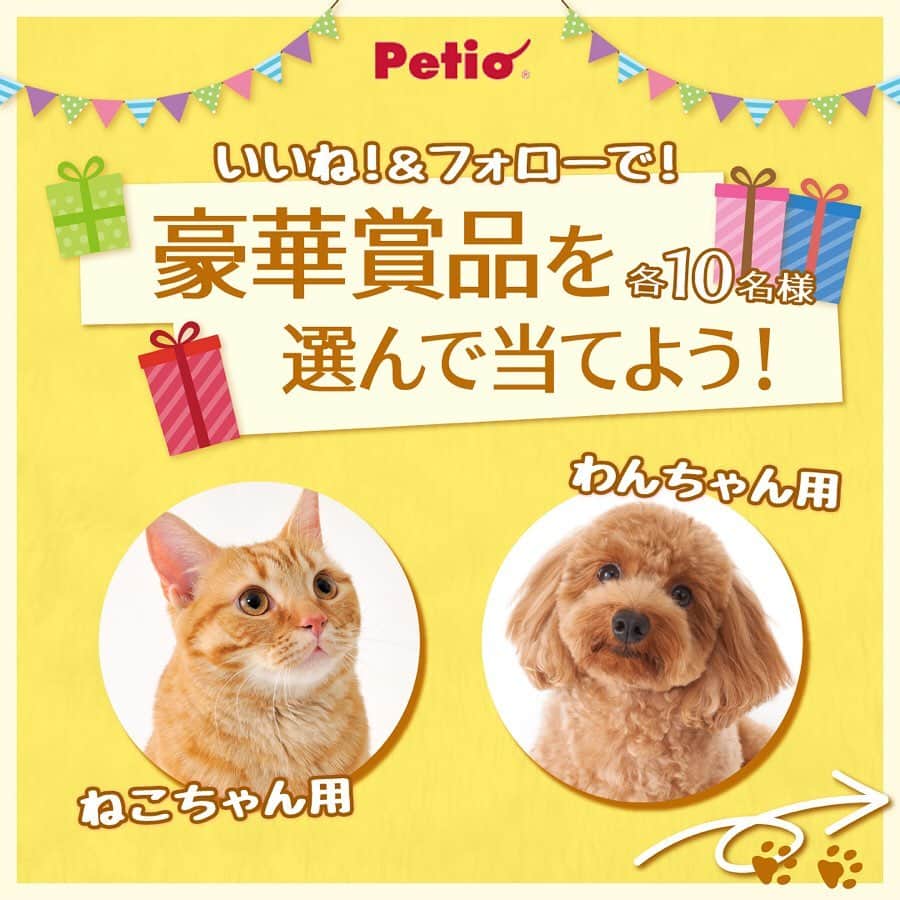 Petioさんのインスタグラム写真 - (PetioInstagram)「————— 豪華プレゼント企画🎁🐱🐶 ————— •ㅤㅤㅤㅤㅤㅤㅤㅤㅤㅤㅤㅤㅤ #petio ではフォロワーの皆さまに 日頃の感謝を込めて #プレゼントキャンペーン を実施するワン🎊✨ •ㅤㅤㅤㅤㅤㅤㅤㅤㅤㅤ 人気商品のおやつとおもちゃを「わんちゃん用」と「ねこちゃん用」に詰め合わせた豪華賞品 を各10名様にプレゼント！😻🐶✨ スペシャル企画なのでお見逃しなくっ💛 •ㅤㅤㅤㅤㅤㅤㅤㅤㅤㅤㅤㅤㅤ ーーーーーーーーーーーーーーーーーー 【プレゼント内容】 人気商品のおやつとおもちゃセット🎁 コメント欄で『わんちゃん用』か『ねこちゃん用』のどちらか選んでコメントしてね🐶 (※賞品はすべて発送となります。) • 【応募方法】 1⃣このアカウント[ @petio_ ]をフォロー 2⃣この投稿に「いいね！」 3️⃣「わんちゃん用」・「ねこちゃん用」どちらか欲しい賞品をコメントしてね🐶🐱 •ㅤㅤㅤㅤㅤㅤㅤㅤㅤㅤㅤㅤㅤ すでにフォローしていただいている方は、 「いいね❤️」と「コメント」をするだけで応募完了です！✨ •ㅤㅤㅤㅤㅤㅤㅤㅤㅤㅤㅤㅤㅤ 【応募期間】 2020年3月31日(火)～2020年4月13日(月)23:59まで • 【当選結果】 当選された方には本アカウントよりDMをお送りします📩 ※連絡日より1週間お返事がない場合は当選を無効とさせて頂くのでお気をつけください😢 •ㅤㅤㅤㅤㅤㅤㅤㅤㅤㅤㅤㅤㅤ 【プレゼントのお届け方法】 賞品はすべて発送となります🎁 • ーーーーーーーーーーーーーーーーーー •ㅤㅤㅤㅤㅤㅤㅤㅤㅤㅤㅤㅤㅤ 大変な時期だけど、みんなで楽しく頑張って乗り切りましょう🐾 たくさんのご応募お待ちしております🐶🐱 • • #ペティオ #ふわもこ部 #フワモコ部 #わんこ #にゃんこ #飼い主バカ #今日のわんこ #今日のにゃんこ #いぬ #ねこ #犬バカ #ねこのいる暮らし #愛犬 #愛猫 #猫バカ #いぬのいる暮らし #ねこすたぐらむ #いぬすたぐらむ #今だからこそモフモフで癒しを #わんこ用 #にゃんこ用 #みんねこ #プレゼント #プレゼント企画  #プレゼント企画実施中  #プレゼント応募  #プレゼント企画応募  #プレゼント企画開催中」3月31日 10時18分 - petio_