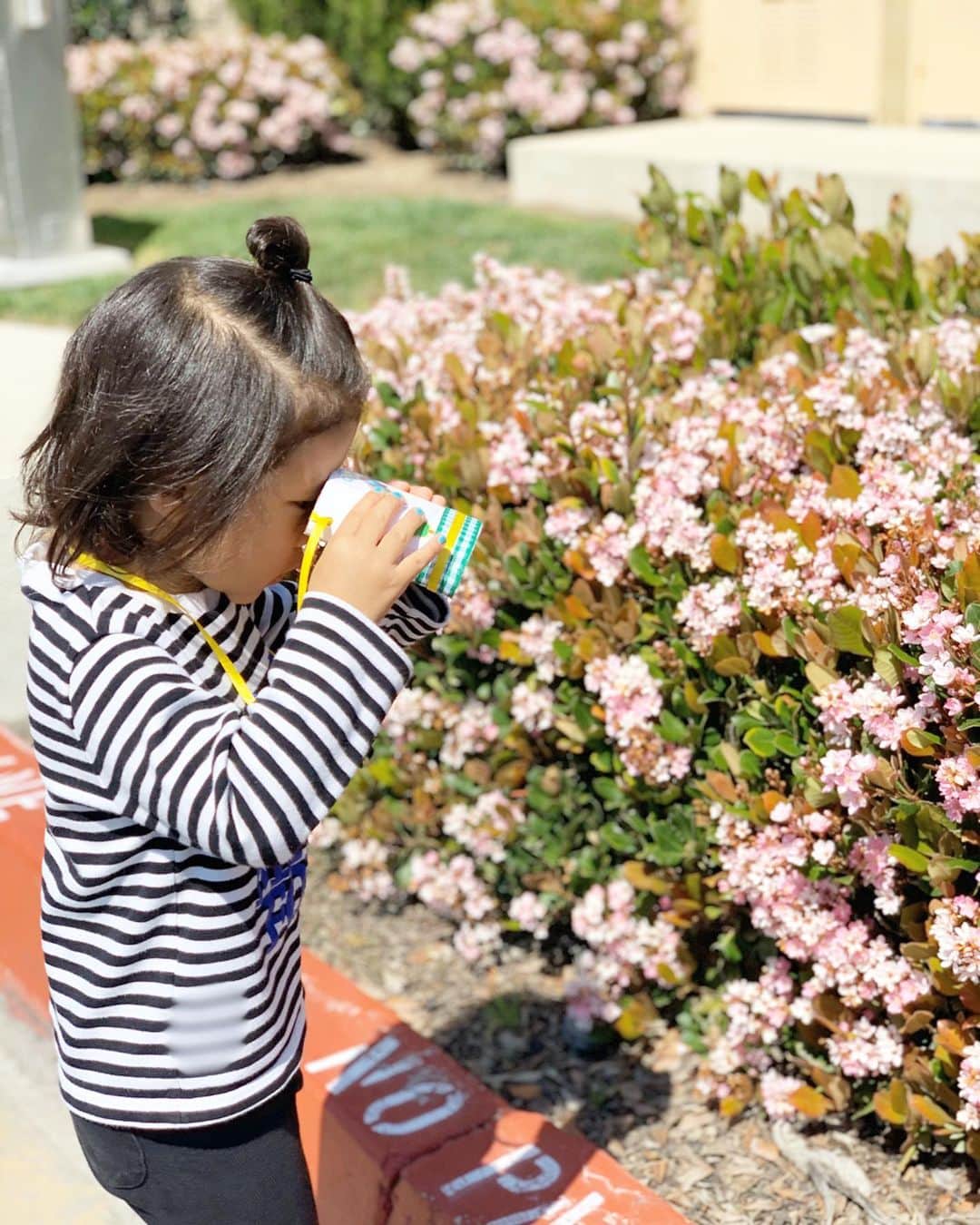 高木りなのインスタグラム：「トイレットペーパーの芯で作った双眼鏡。 玄関前に咲いたお花をガン見👀🌸🌿 ついでに弟も間近でガン見👀🐒🐣 휴지심으로 만든 쌍안경.  화단에 활짝 핀 꽃 감상중😎 그리고 동생도 감상중🙈 . . . #집콕 #집콕놀이 #휴지심놀이 #쌍안경 #おうち遊び #トイレットペーパーの芯 #工作 #双眼鏡 #stayhome #toddlerplay #playathome #🌸」