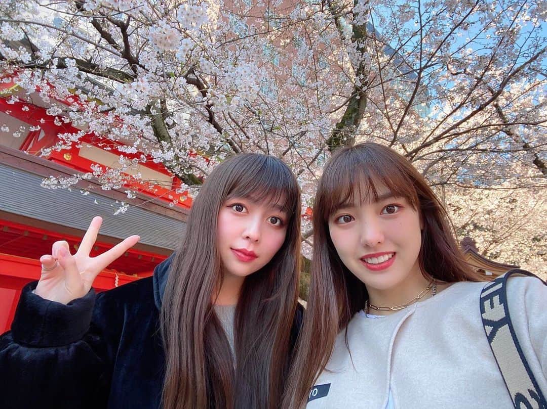 飯窪春菜のインスタグラム：「🌸👩‍❤️‍👩🌸 ・ ・ 先日、南波志帆さんと会った時の写真🌸 花園神社を通りかかったら早めの桜が咲いていて、綺麗な桜を見ることができました。 ・ 今年最初で最後の桜だったなあ💭 改めてお花見したかったけど、また来年を楽しみにしますっ！ ・ ・ ・ #南波志帆 さん #桜  #しほさんに会いたい  #早く終息しますように  #はるなの毎日  #飯窪ってる」