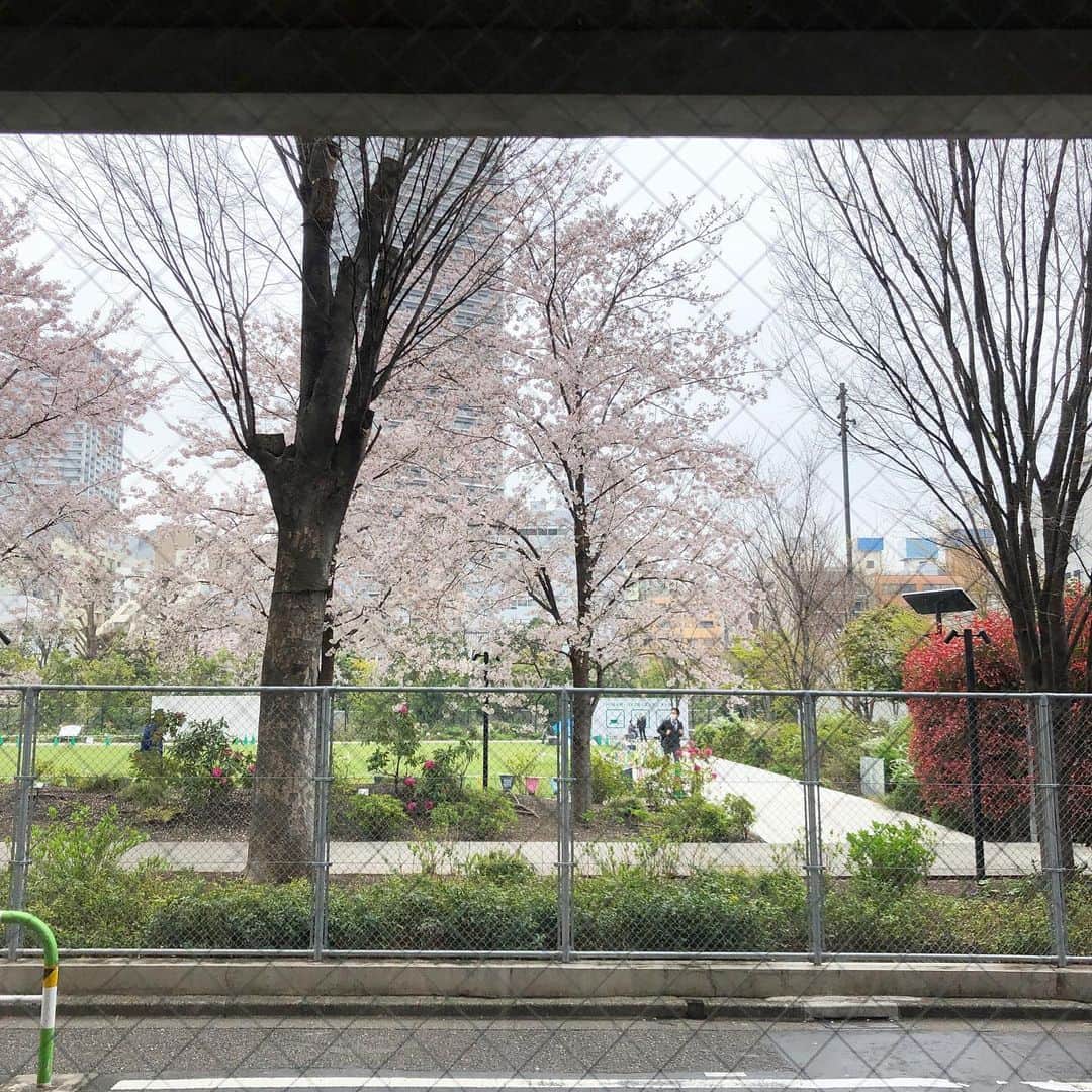 ERIのグルメインスタ