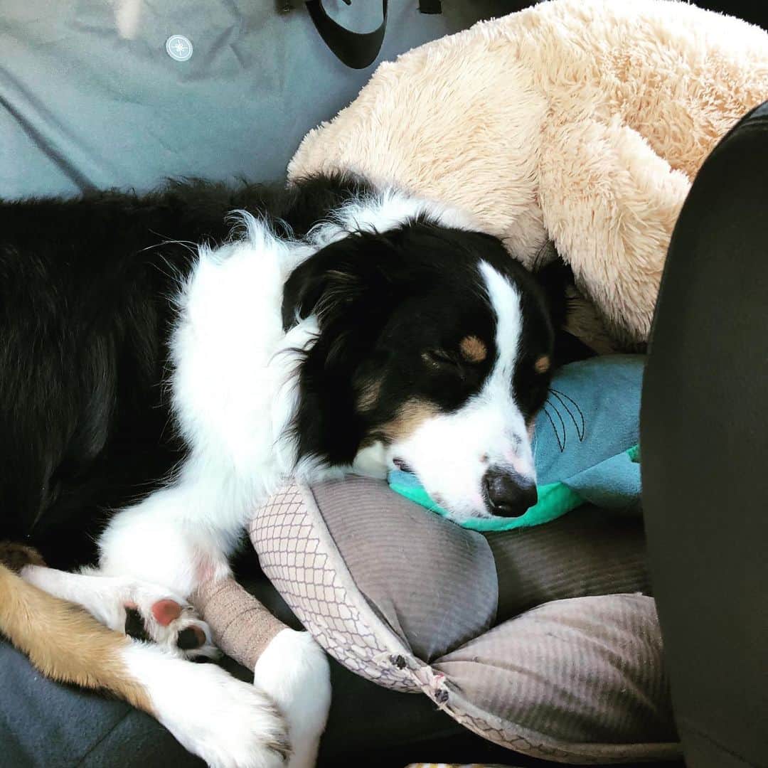 ネイサン・バーソロメイのインスタグラム：「Today got me like... #drained  Hope sleepy Sochi brightens your day!😊」