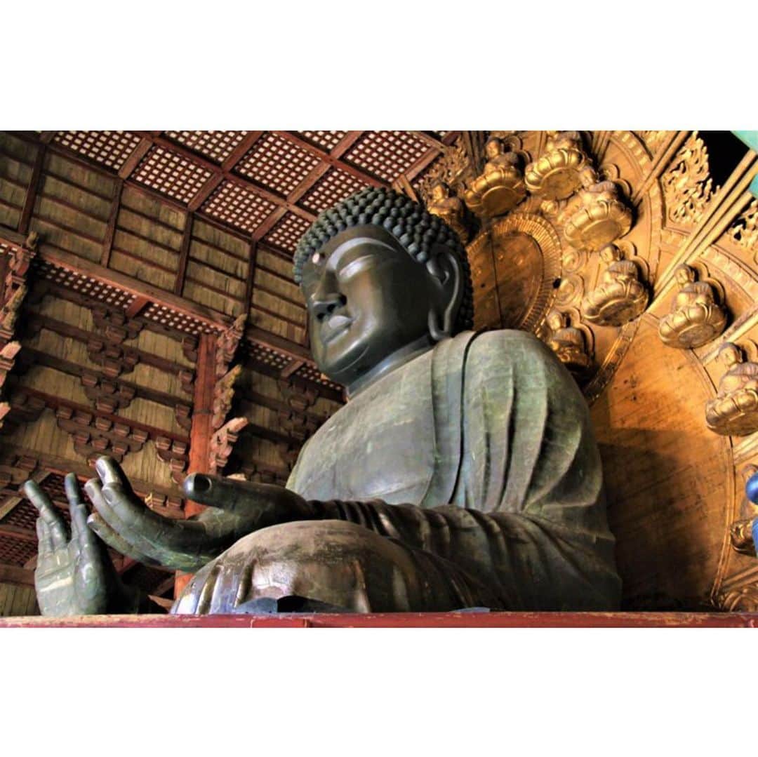 村上隆さんのインスタグラム写真 - (村上隆Instagram)「The Great Buddha of Todaiji Temple. 🙏」3月31日 13時03分 - takashipom