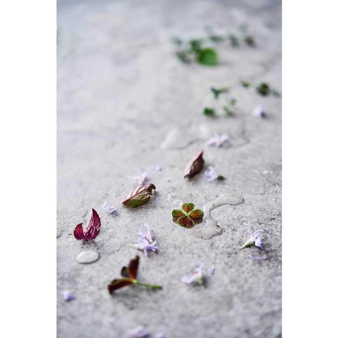 ellecafejapanのグルメインスタ