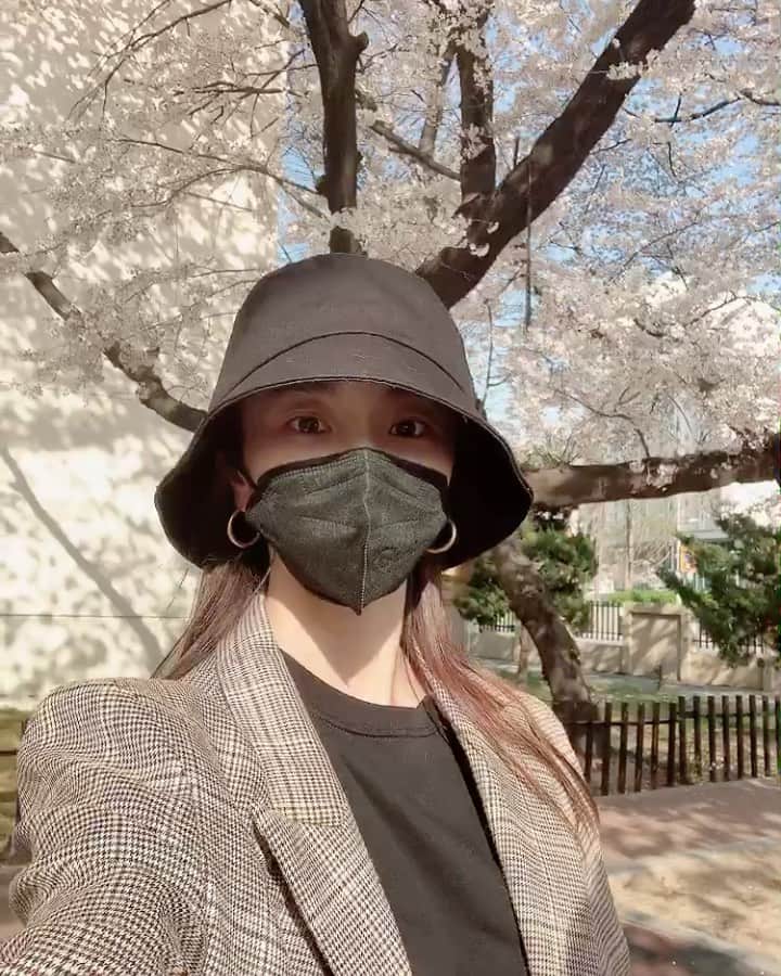 チョン・ユミのインスタグラム：「어느새 집앞까지 봄이 찾아왔나봄봄.🌱 오늘도 건강하게 꽃처럼 이쁜 하루되세요.🌷」