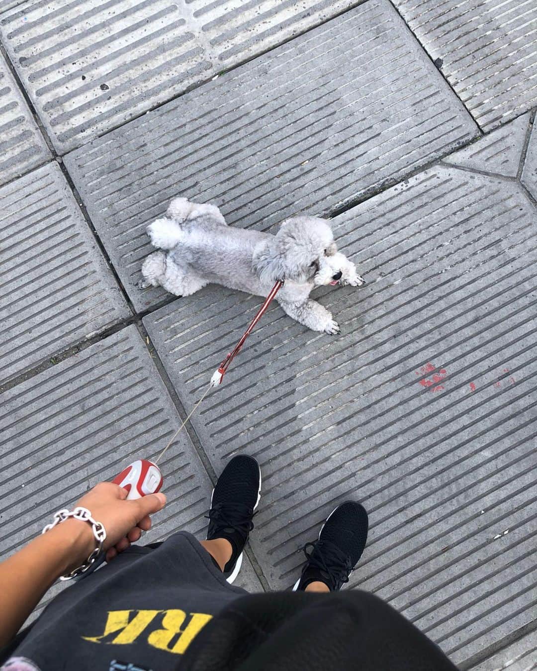 白雪のインスタグラム：「If I could spend with you during quarantine, It will definitely be the best time for me.  会いたい人と少しでも早く会えるように、それを楽しみに、今を皆んなで乗り切ろう。  #quarantine #imissyou」