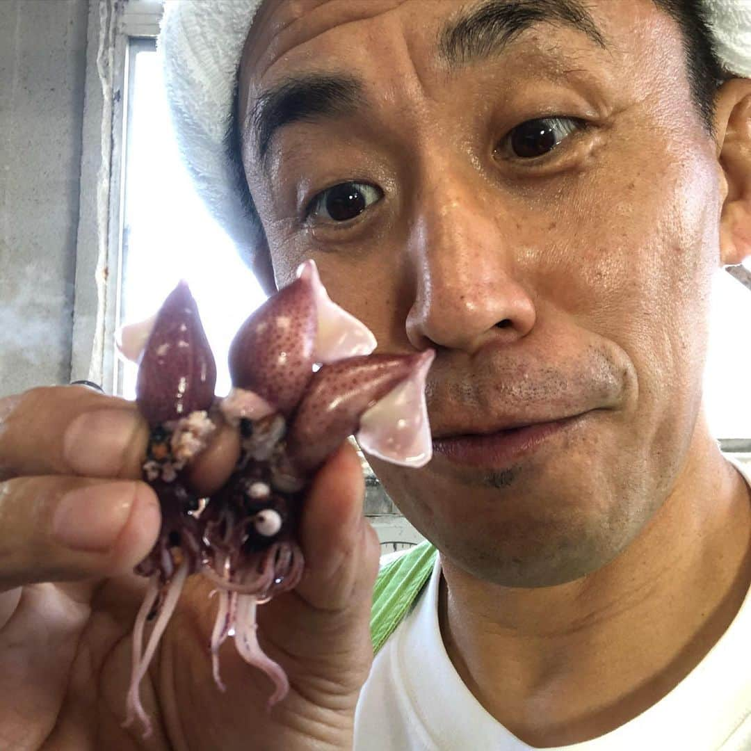 石田靖さんのインスタグラム写真 - (石田靖Instagram)「関西テレビ⑧『よーいドン❗️』 「産地の奥さんごちそう様」で兵庫県香美町香住へ💨食材はほたるいか 春を告げるほたるいか料理ご紹介‼️ おおきにごちそう様です🙏🙏🙏 #関西テレビ #よーいドン #産地の奥さんごちそう様 #産ごち #兵庫県香美町香住 #香住のホタルイカ #香住の三代海鮮物 #かに #のどぐろ #香住漁港 #遊魚館 #ホタルイカ #ほたるいか  #ホタルイカ料理 #ほたるいか料理 #茹でたてのほたるいか絶品 #ほたるいかのアヒージョ #ほたるいかのニンニク炒め #かに八代れんが亭 #かに市場にしとも #ほたるいかの炊き込みご飯  #ズィーヤ #一期一笑  #石田靖」3月31日 15時14分 - yasulog