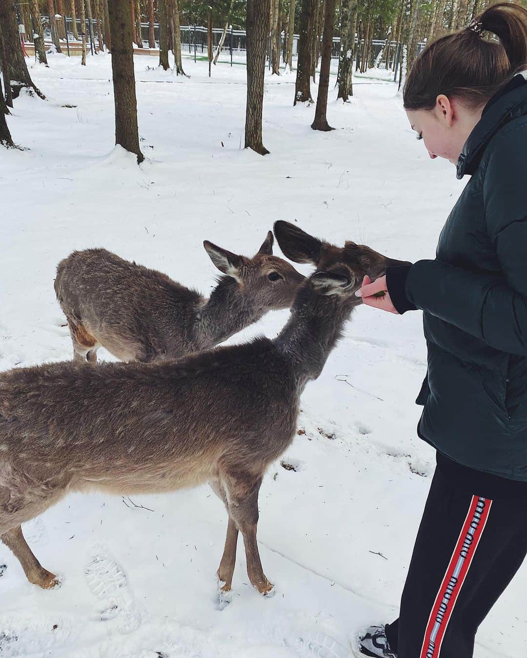 マリア・ソツコワさんのインスタグラム写真 - (マリア・ソツコワInstagram)「Новые друзья😻🦌 #mariyasotskova  #mariasotskova  #marysot」4月1日 0時39分 - m_a_r_i_y_