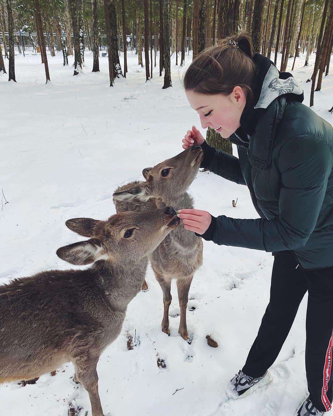 マリア・ソツコワのインスタグラム：「Новые друзья😻🦌 #mariyasotskova  #mariasotskova  #marysot」