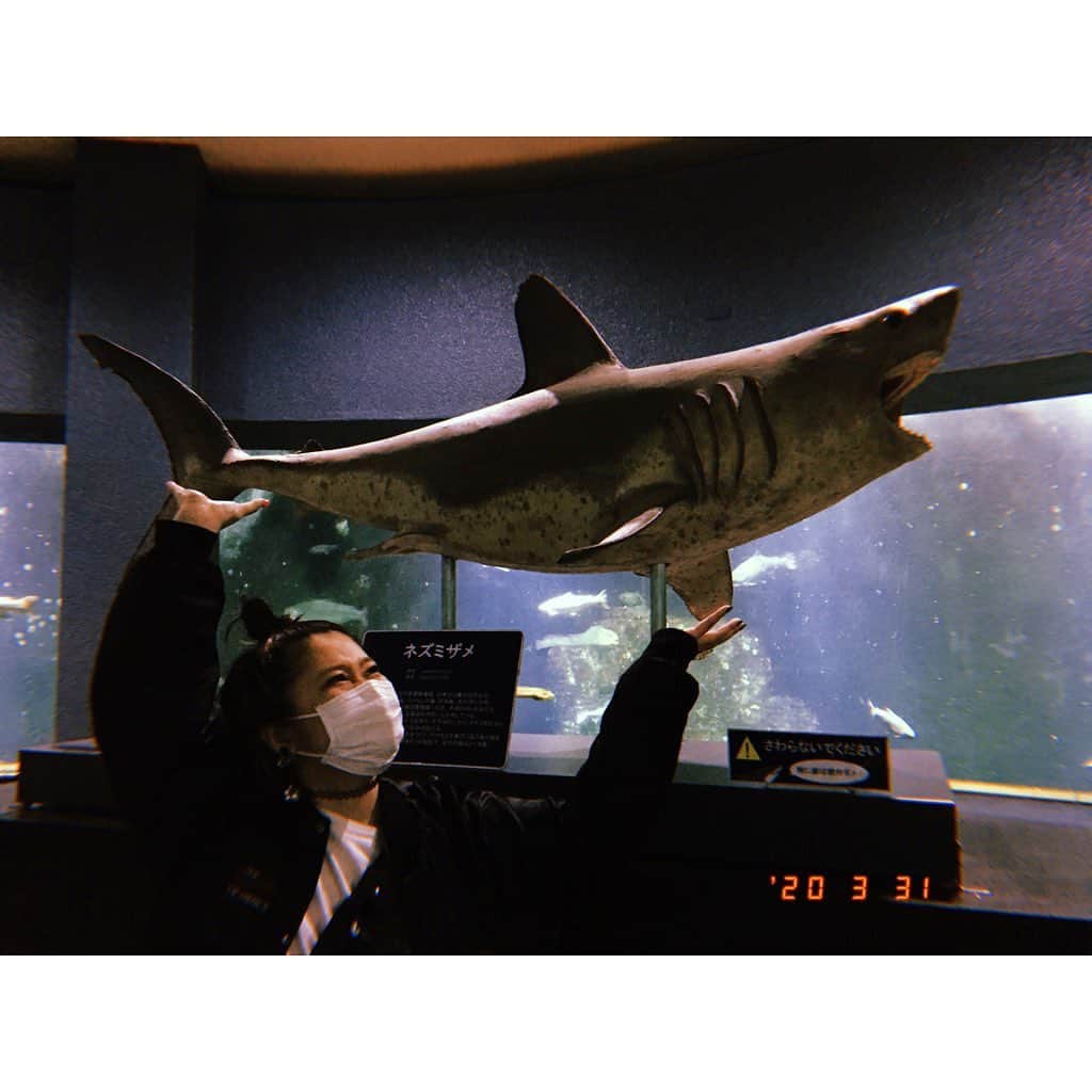 林唯衣さんのインスタグラム写真 - (林唯衣Instagram)「ワタシが水族館を好きな理由は「サメが好き」「クラゲが好き」「深海が好き」だから！まだまだ先は長いけれど少しづつ全国、世界の水族館を制覇して行くぞ〜〜〜っ。　#ただし海怖い」4月1日 1時08分 - yui__hayashi