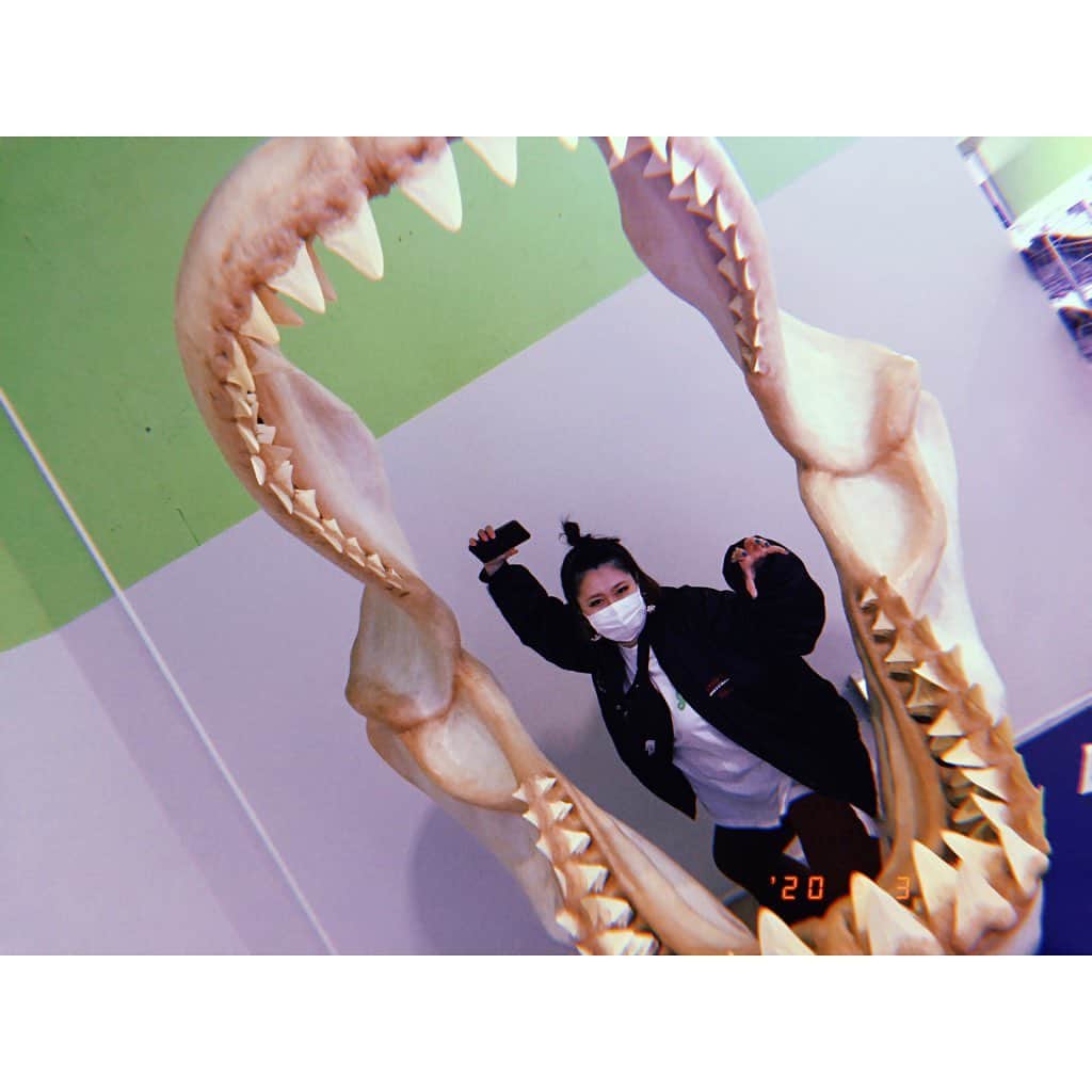 林唯衣さんのインスタグラム写真 - (林唯衣Instagram)「ワタシが水族館を好きな理由は「サメが好き」「クラゲが好き」「深海が好き」だから！まだまだ先は長いけれど少しづつ全国、世界の水族館を制覇して行くぞ〜〜〜っ。　#ただし海怖い」4月1日 1時08分 - yui__hayashi