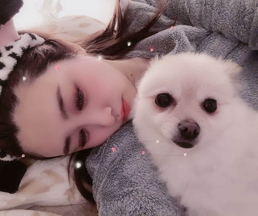 飛鳥凛のインスタグラム：「ゴロンゴロン  横になりながら海外ドラマみる。携帯上映機ほしくなる。 犬ちゃんに腕枕しながらタブレット固定させて鑑賞中🥺犬ちゃんは可愛すぎて話したくない…幸せのナイトタイム…」