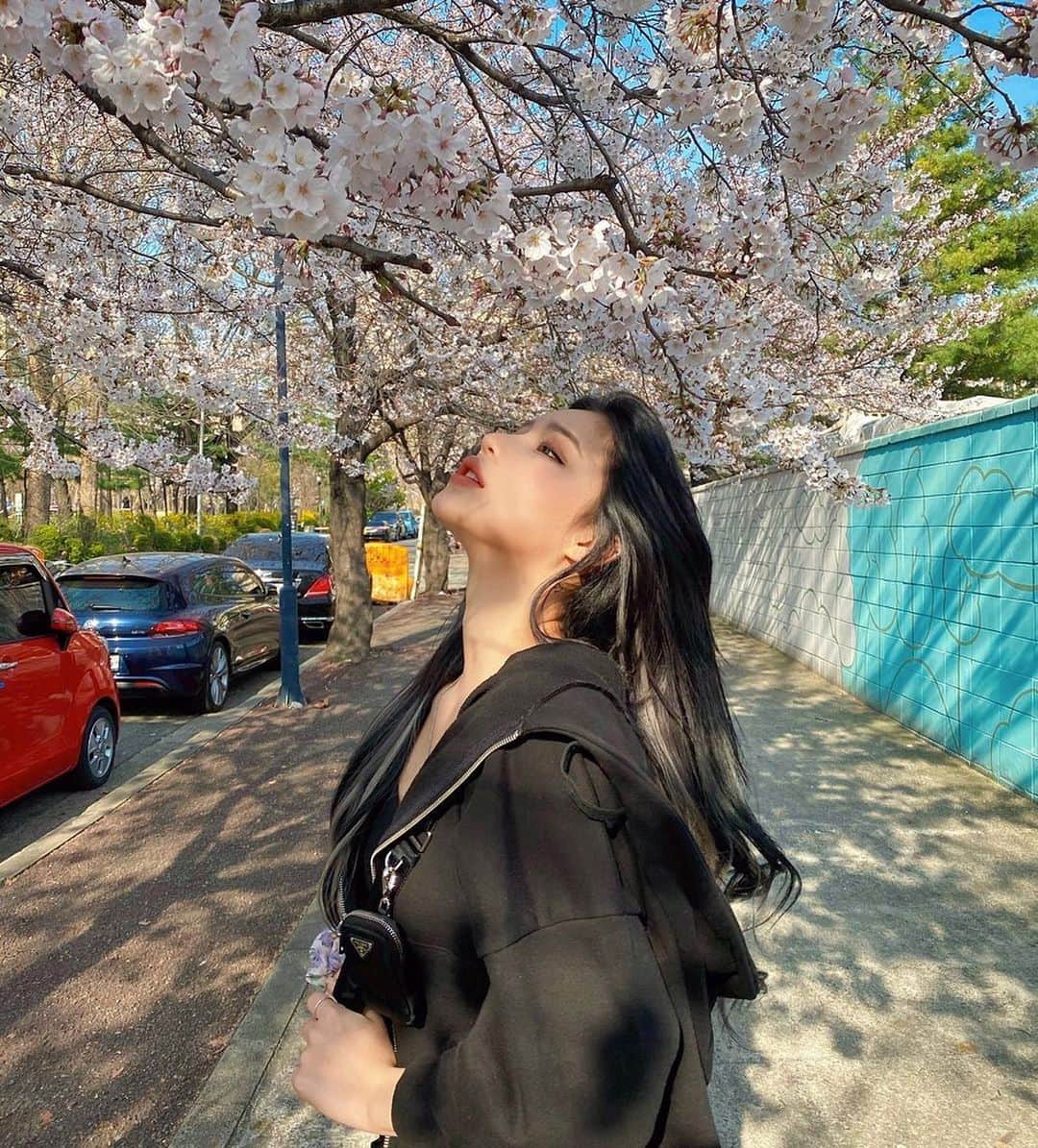 チェユラさんのインスタグラム写真 - (チェユラInstagram)「벚꽃축제안가도 충분히 볼수있는걸😝🌸」3月31日 17時08分 - youra_ch0i