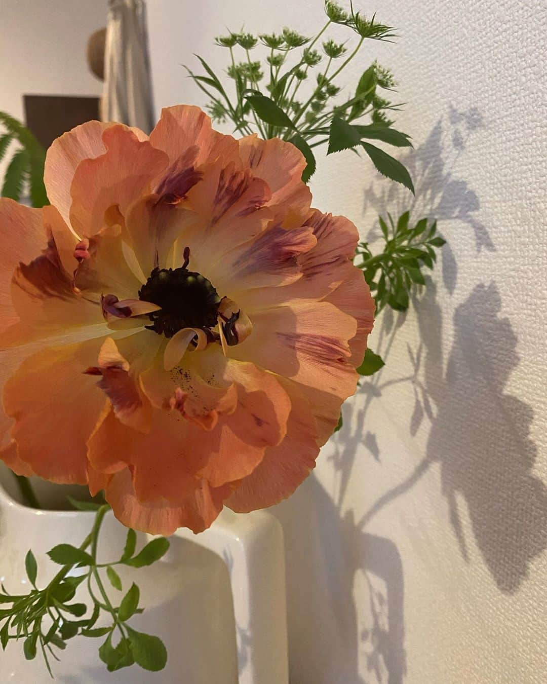 柴田紗希さんのインスタグラム写真 - (柴田紗希Instagram)「数日前に渡したお花、綺麗だったから自分のお家にも連れて帰ってきてしまった。 お花があるとないのって全然違うよね、 自然の生き物って本当にパワーをくれるんだよな強いんだよなかっこいいんだよな だからいつも自然に行くと 「ありがとうー！！！」 て叫ぶのが私の恒例行事(行事というか知らない間に口走ってる)」3月31日 17時34分 - shibasaaki