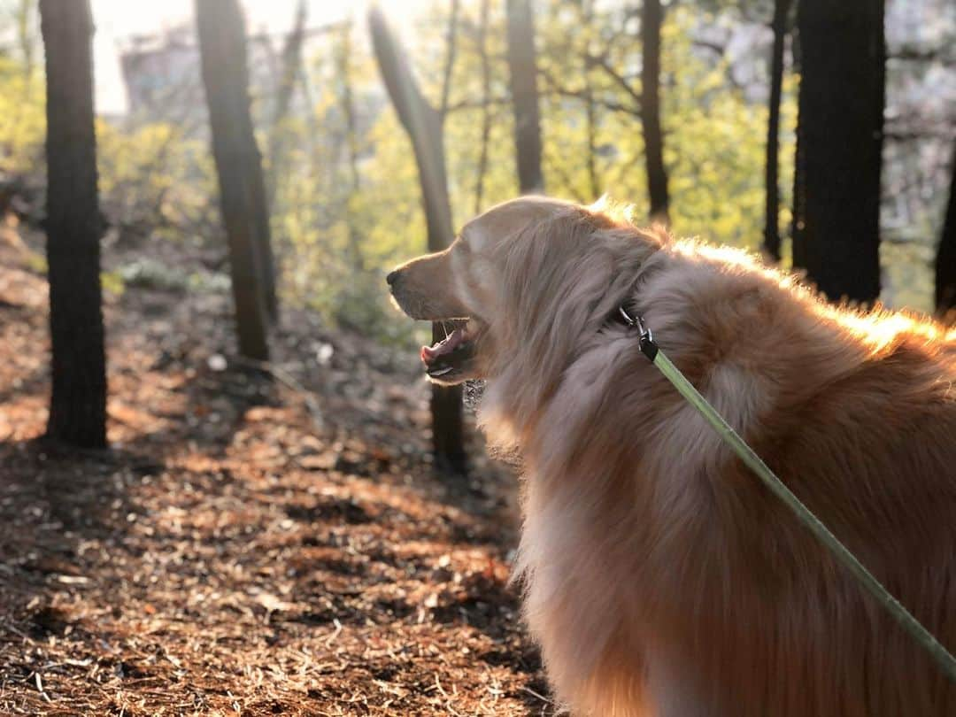 イ・ジョンシンさんのインスタグラム写真 - (イ・ジョンシンInstagram)「☀️」3月31日 17時50分 - leejungshin91