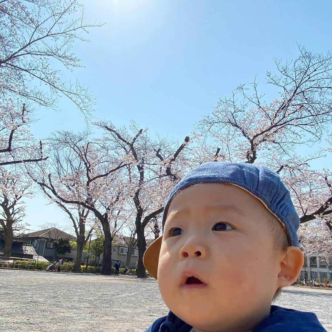 上原誠さんのインスタグラム写真 - (上原誠Instagram)「みんな癒されて🍀😊」3月31日 18時54分 - m.uehara