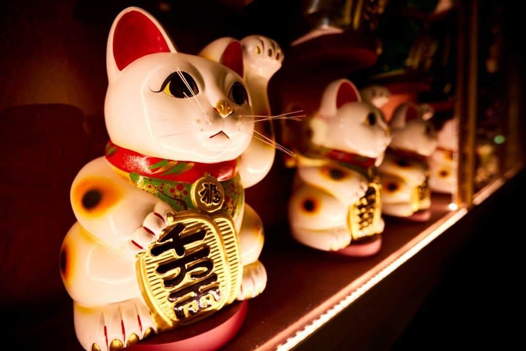 アクアシティお台場/AQUA CiTY ODAIBAさんのインスタグラム写真 - (アクアシティお台場/AQUA CiTY ODAIBAInstagram)「・ 【アクアシティお台場フォトスポット巡り】 ・ 東京ラーメン国技館 舞に並ぶ、カラフルな招き猫。大迫力の太鼓とビッグサイズの招き猫がお迎えする名物スポットです。 ・ 東京ラーメン国技館 舞（5F） ・ #アクアシティお台場 #東京ラーメン国技館舞 #招き猫 #manekineko #猫 #フォトスポット #ラーメン #ramen #noodles #ramennoodles #20thANNIVERSARYFAIR #20thANNIVERSARY #アクアシティお台場20周年 #20回目のありがとう #グルメ #東京グルメ #foodstagram #飯テログラム #お台場デート #デート #aquacityodaiba #お台場 #アクアシティ #東京リゾー島 #odaiba #aquacity #台場 #daiba #tokyo #japan」3月31日 19時00分 - aquacity_odaiba_official