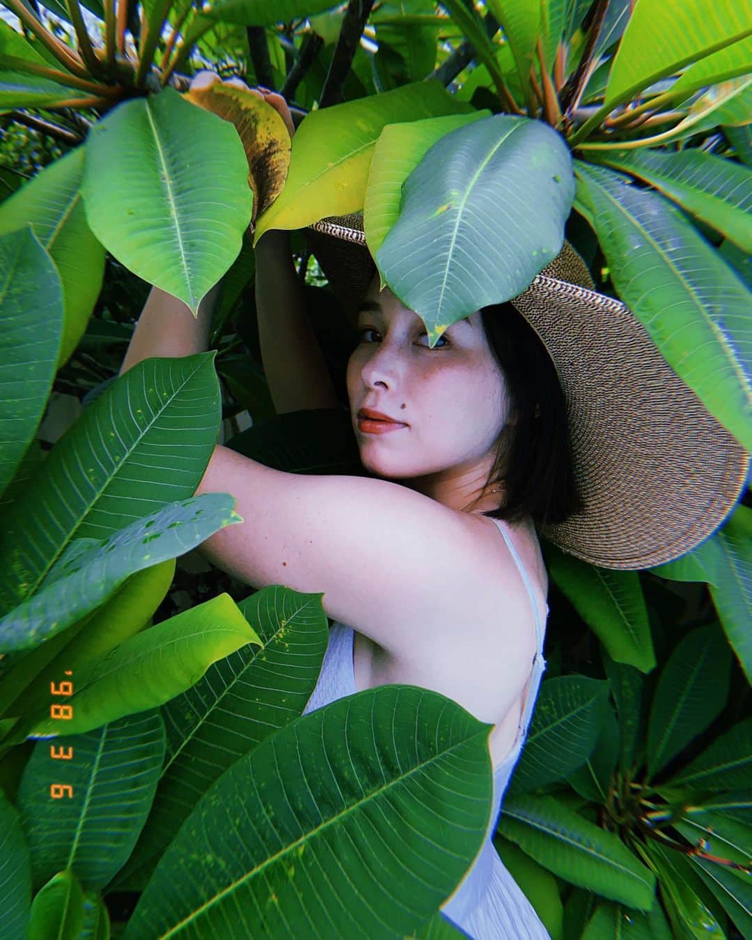 のインスタグラム：「🍃👒」