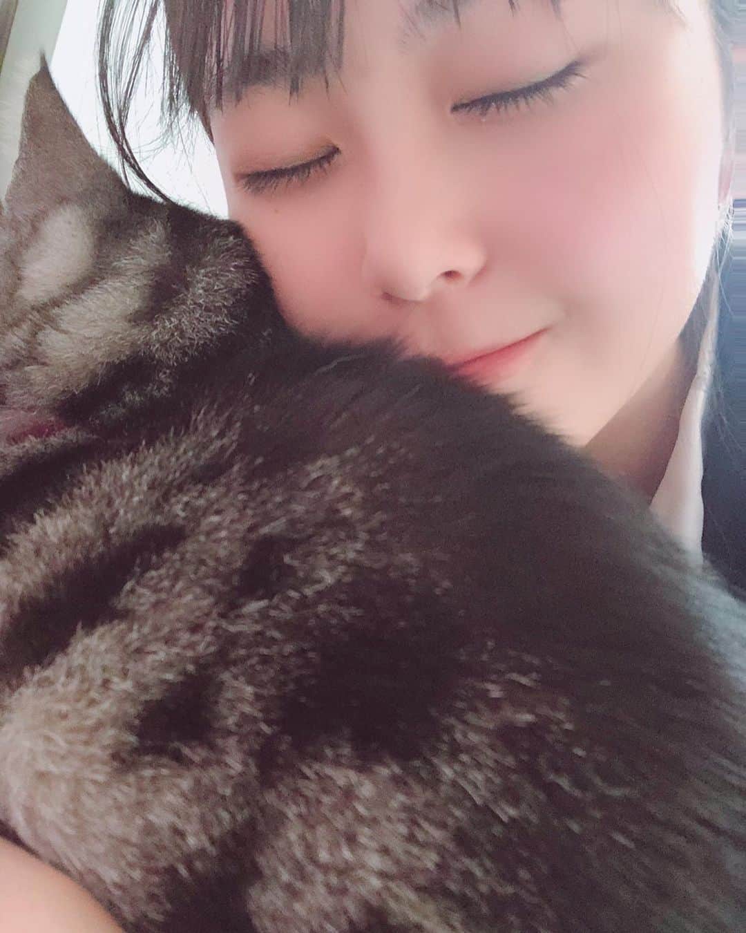藤田愛理さんのインスタグラム写真 - (藤田愛理Instagram)「・ だ〜れだ😚💓 #愛猫 #動物の言葉が分かるようになればいいのに」3月31日 19時35分 - airi_crownpop