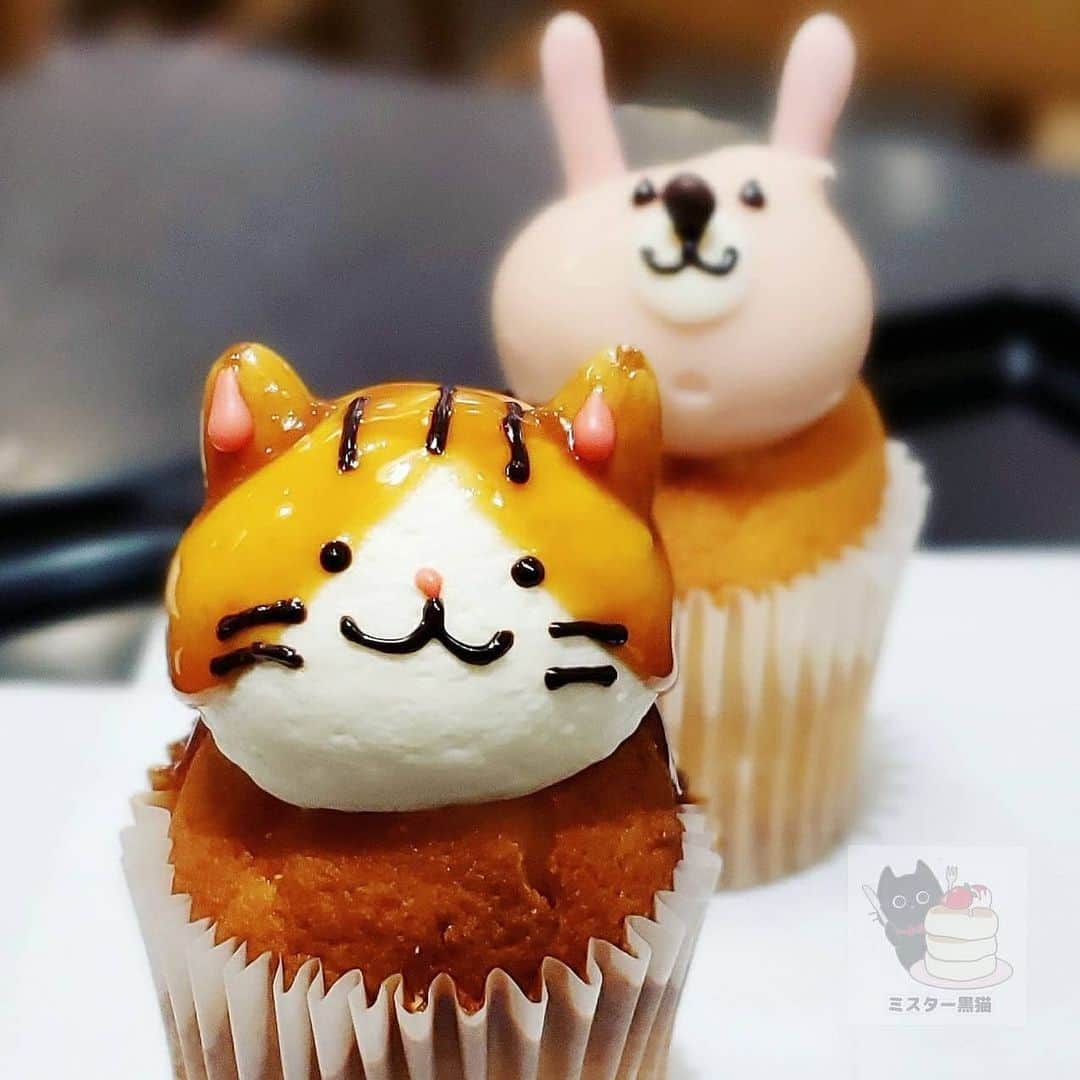 ミスター黒猫（黒猫仙人）のグルメインスタ