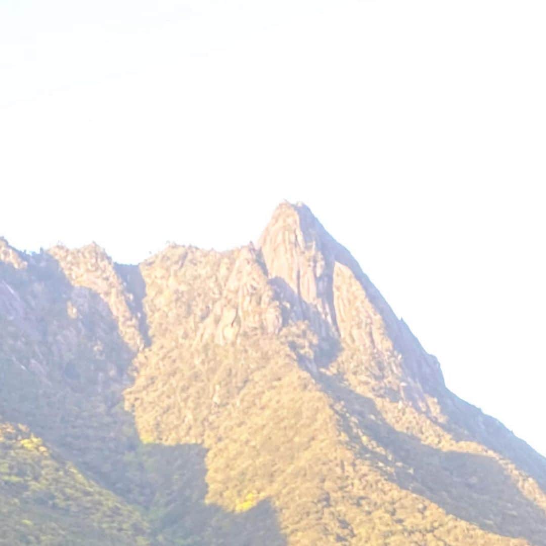 加藤未唯さんのインスタグラム写真 - (加藤未唯Instagram)「モッチョム岳は、お部屋のバルコニーから綺麗に尖ってるのが見えて、登ってみたい！と思い登った山でした⛰ 往復7時間かかり結構キツかったですが、今までで1番登って良かったと思えた山でした💓ありがとう自然🌲 #モッチョム岳 #屋久島 #鹿児島 #山 #山ガール #山登り #登山 #トレッキング #自然 #木 #森 #🌲」3月31日 19時56分 - miyukato1121