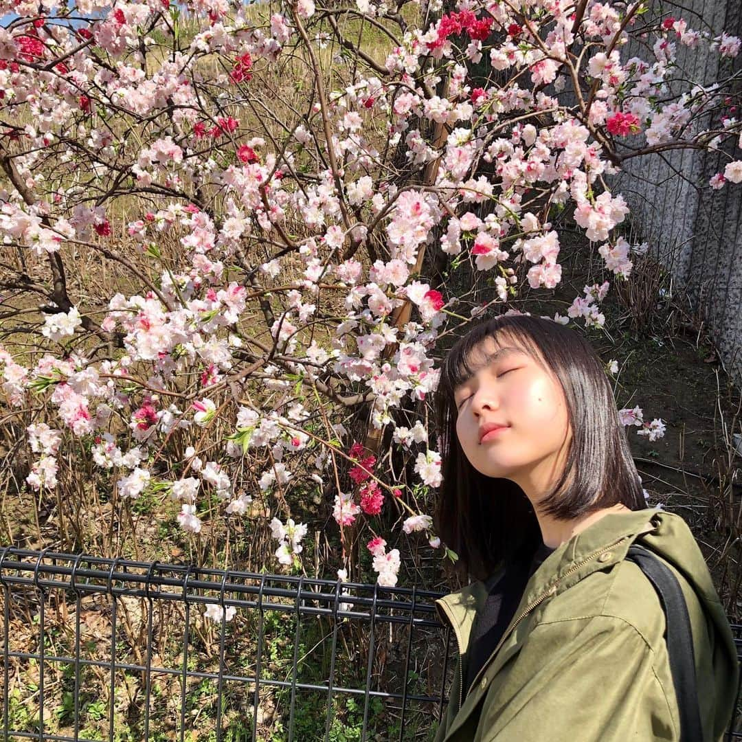 中村守里さんのインスタグラム写真 - (中村守里Instagram)「この間仕事前に🍃  日差しが強くて目を閉じたら、寝てるように見える写真が撮れちゃいました  最近は家でYouTubeや映画みたり料理をしてみたり…。はやくみんなに会いたいな。  お互いに体調には気をつけましょうね。」3月31日 20時19分 - nakamura_shuri