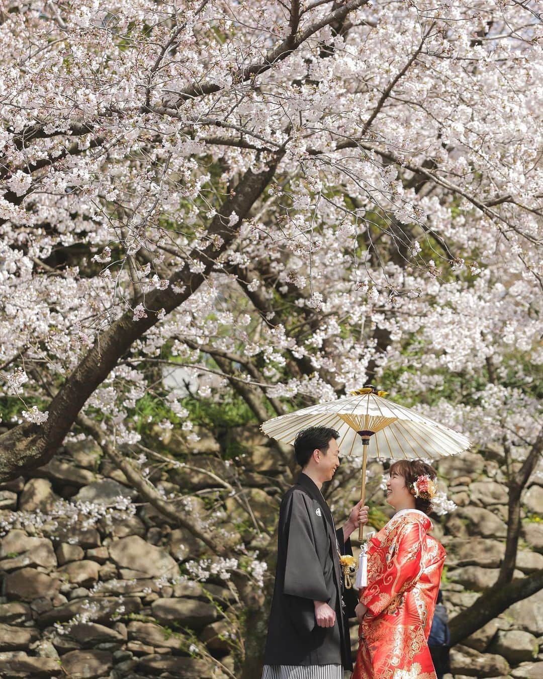 スタジオANさんのインスタグラム写真 - (スタジオANInstagram)「【🌸桜キャンペーン開催🌸】 ------------------------------------ 雨やらなんやらありますが、今年もきれいに咲いております。 Photographer　@ikezaki_an Hair make　@yukari.hm_studioan ------------------------------------ ⚠️STUDIO AN NEWS⚠️ お得なキャンペーンやフェアは画像を スワイプ👆🏻してチェックしてくださいね⭐️ ▷▶︎▷桜キャンペーン開催 選べる豪華成約特典ご用意しております👀 5月10日迄の撮影をお申し込みのお客様対象🌸 お電話もしくはwebよりご予約ください☻ ▷▶︎▷新婚カップル応援キャンペーン 新型ウィルスの影響で#結婚式延期 or #結婚式中止 されたお客様にささやかなプレゼントをご用意しました🍀 ▷▶︎▷屋内庭園に“猪目窓”のセットが新登場⚐⚑⚐゛ 可愛さと伝統を大切にしたお気に入りの1枚を 残しませんか？♡ お打ち合わせのご予約はお電話もしくは. Web予約フォームをご利用ください☻ ☎︎092-738-6677 ------------------------------------ @decollte_weddingphoto #d_weddingphoto #weddingphoto #スタジオAN #STUDIOAN #結婚写真 #結婚式準備 #wedding　#bridal #花嫁 #福岡花嫁 #九州花嫁 #和装前撮り　 #おしゃれさんと繋がりたい #日本中のプレ花嫁さんと繋がりたい #ポートレート  #福岡前撮り #前撮り福岡 #花嫁 #プレ花嫁 #結婚式 #結婚式準備  #全国のプレ花嫁さんと繋がりたい  #前撮り #卒花嫁 #前撮り #後撮り #結婚準備 #ヘアメイク #色打掛」3月31日 20時45分 - studio_an