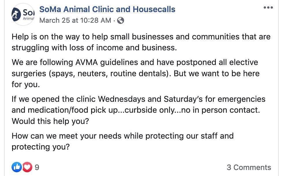 City the Kittyさんのインスタグラム写真 - (City the KittyInstagram)「PLEASE give a BIG thank you to Dr Marlow Ball with SoMa Animal Clinic and Housecalls in Arkansas! ❤️🐾 She is the only veterinarian leader with the @arkansasvma whose vet practice is putting the lives of cats AND human beings first and is not performing elective procedures to help preserve precious PPE during this COVID-19 crisis. 👍🏻❤️ She is also a NO-DECLAW veterinary clinic! 😸👍🏻 Please take a minute to read our shocking story that’s on our Instagram bio link on how all the other leaders of the ArkVMA are contributing to this crisis by not following the advice of the @avmavets , hospitals, and healthcare professionals to keep people in their homes and also to conserve precious PPE during this COVID-19 crisis.😾 Please help us get more PPE to all the healthcare professionals by sharing our exclusive story and send it to any new media in Arkansas if you can. 🙏🏻 Maybe we can inspire all these declawing vets to put human lives over profits! 🙀 #Covid19 #coronavirus #catsofarkansas #veterinarians #StopDeclawing #cats #GetMePPE #pandemic Our nonprofit work on this cause, educational campaigns, and investigative journalism will continue with your support. www.citythekitty.org ❤️ Always remember to take the high road and educate.🐾👍🏻」4月1日 2時18分 - citythekitty