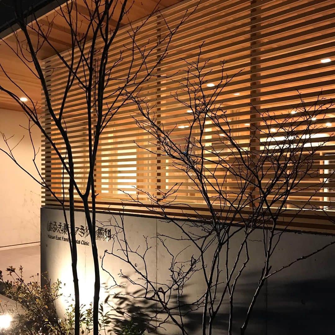 伊藤瑞貴建築設計事務所のインスタグラム：「「はるえ東ファミリー歯科」 現在発生している新型コロナウイルス感染症が拡大している状況を受け、「はるえ東ファミリー歯科」建築内覧会（オープンクリニック）の開催中止を決定いたしましたので、お知らせいたします。 参加者・関係者の健康・安全面を第一に考慮した結果、中止することにいたしました。 開催を楽しみにしてくださった皆様には、急なご案内となりご迷惑をおかけしますが、ご理解をいただきますようお願い申し上げます。」