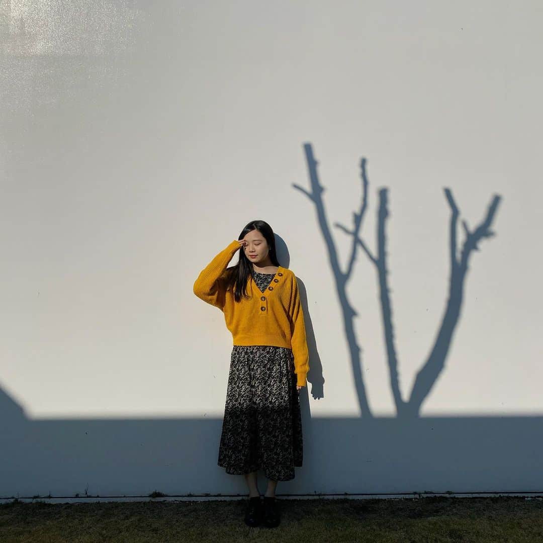 miyuのインスタグラム：「映えた気がした写真を🌿」