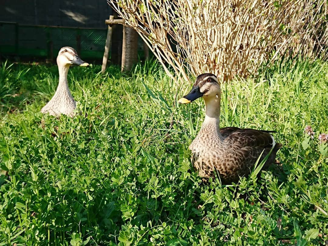 熊本アイのインスタグラム