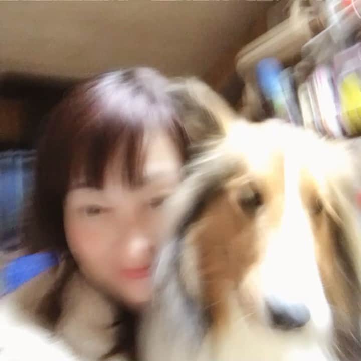 佐藤康恵のインスタグラム