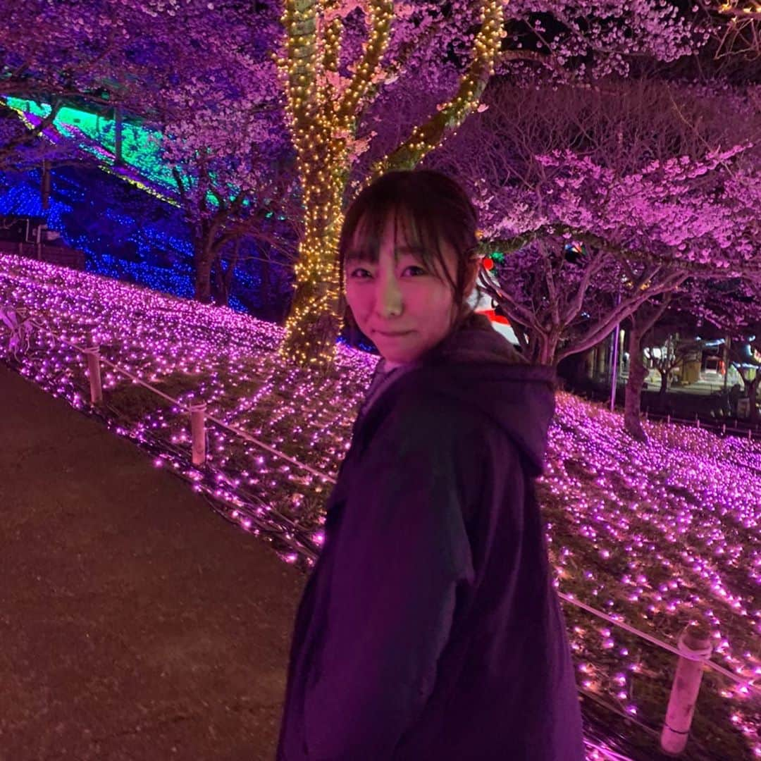 須田亜香里さんのインスタグラム写真 - (須田亜香里Instagram)「. . 2020/03/30 1枚目→ピンボケくらいがちょうどよかったw ラスト→ #mリーグ セミファイナル観戦 . . #cdtvライブライブ #akb48 #恋するフォーチュンクッキー #さがみ湖イルミリオン . 素敵な機会を与えてくださった番組スタッフの皆様、さがみ湖イルミリオン様 観て楽しんでくださった皆様 ありがとうございました😊 桜とイルミネーションのコラボ綺麗だった🌸 . .」3月31日 23時35分 - akarisuda