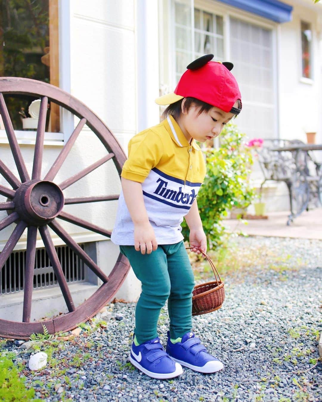 amiさんのインスタグラム写真 - (amiInstagram)「Coordination of son ． お天気が良くてポカポカ 気持ち良い春の陽気🌸 ． 相変わらず息子は、お庭で貝殻を🐚 拾ったりお花を積んだりして遊んでる♡ 家族でおうち時間を楽しんでます💕 ． ． coordinate ． tshirt👕/TIMBERLAND Color Block Branded Polo Shirt Mustard ． shoes/NIKE Pico 5 Infant Sneakers Royal Blue ． Tシャツとシューズは @babyshop さんでゲット♡ https://jp.babyshop.com/ ． 他にもタンクトップやTシャツ サンダルを購入☺️ ． 日本未入荷の商品も新作も ベイビーショップなら買えるのが⭕️ ． ． #babyshop #ベイビーショップ #ナイキ#babyshop #ベイビーショップ #TIMBERLAND #NIKE #PR #CHAMPION#MAYORAL #JOHA #3歳児#男の子#男の子コーディネート#息子コーデ#学研の幼児ワークアンバサダー募集#FOTOCO #FOTOCOおうち時間#マイステイホーム」4月15日 19時22分 - amikuma1219