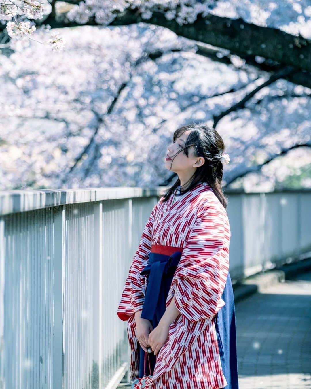 のインスタグラム：「夕食後の杏仁豆腐が美味しくて感動したという報告(家でね)。」
